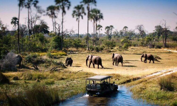 Beyond wildlife and beaches, Kenya offers thrilling adventures and rich cultural encounters that..