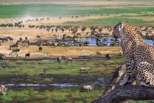 The Ultimate Tanzanian Adventure: A 6-Day Safari with Chessie Holidays Safaris